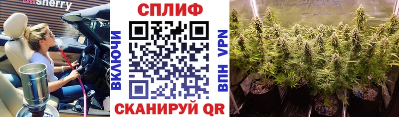 Названия наркотиков Нефтегорск mega рабочий сайт COCAIN Метамфетамин Конопля Амфетамин МЕФ СОЛЬ Псилоцибиновые грибы Гашиш