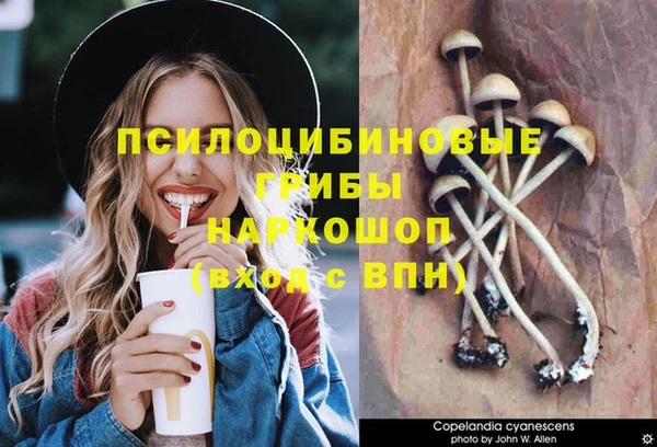 твердый Балахна
