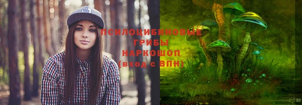 твердый Балахна