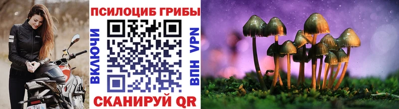 Псилоцибиновые грибы ЛСД Нефтегорск